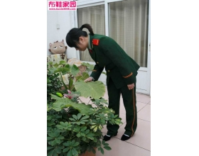  黑高与军装5P 